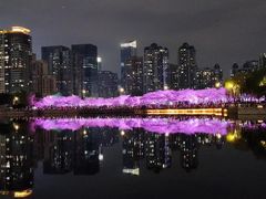-西北湖绿化广场