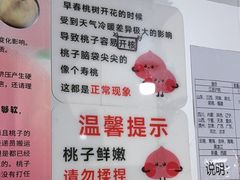 -老袁家蜜桃农场·阳山水蜜桃