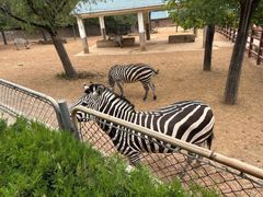 -石家庄市动物园