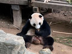 -广州长隆野生动物世界