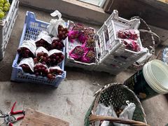 -马陆小张葡萄园农家乐