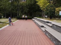 -南翔镇银翔湖公园