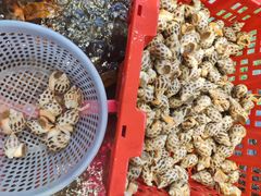 -海胆公主南澳岛美食海鲜