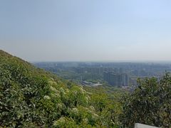 -杭州半山国家森林公园