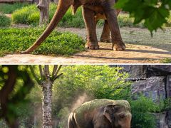 -济南野生动物世界