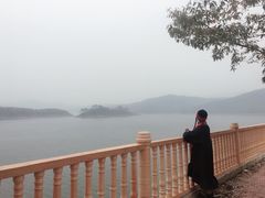 -千年银杏谷文化旅游区
