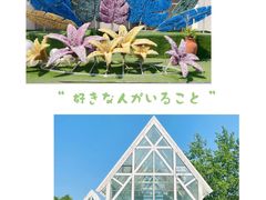 -大塘金香草谷