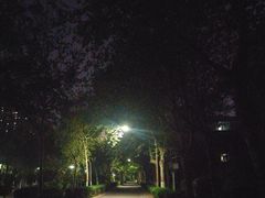 -裕彤国际体育中心
