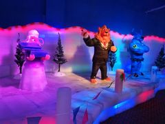 -芜湖新华联大白鲸海洋公园