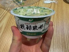 -德禄酸奶(莫家街店)