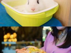 -杭州开元森泊度假乐园