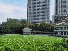 -荔湾湖公园