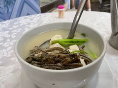 -台山第一家兴华黄鳝饭·黄鳝婆(彭沙坑总店)