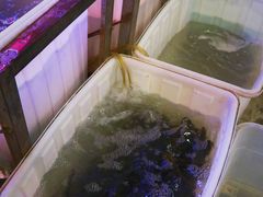 -金海椒罐罐鲢鱼(东方桂苑店)