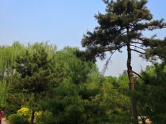 景点-晋祠公园