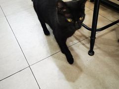 -李记贵州特色羊肉粉(炫地购物中心店)