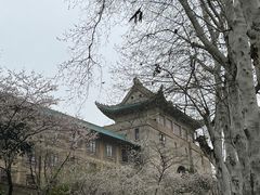 -武汉大学-樱园