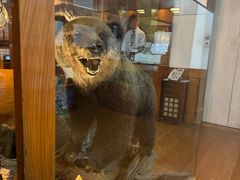 -蟹料理 北海道かに将軍(札幌本店)