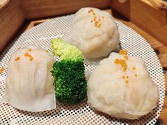 -避风塘(五角场店)