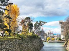 -名古屋城