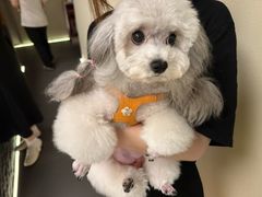 -木兰逸•泰式按摩•头疗•SPA(车公庙店)