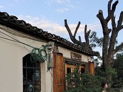 -村上春树