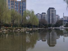 -木塔寺遗址生态公园
