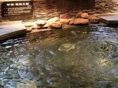 -8号公馆(金川街店)