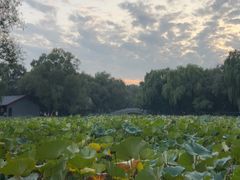 -北陵公园