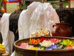 -吉祥圣雪藏餐