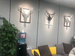 -MJ skin care国际皮肤管理中心