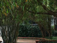 -晓港公园