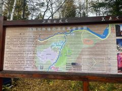 -汤旺河林海奇石景区