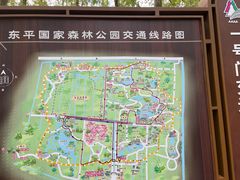 -东平国家森林公园