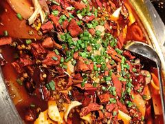 -杨记隆府(重庆总店)