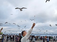 -星海广场