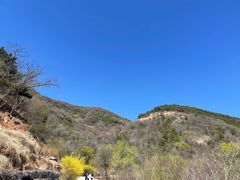 -北京西山国家森林公园