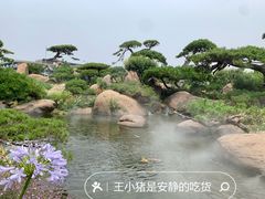 -罗红摄影艺术馆