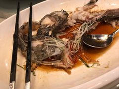 -雅枫国际酒店—枫叶自助餐(福田店)