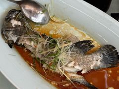 -顺峰(阜成店)