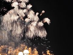 -珠江夜游西堤码头