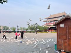 -天津妈祖文化园