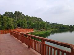 -广东花都湖国家湿地公园