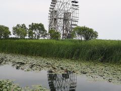 -太湖湖滨国家湿地公园-停车场