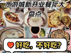-鹏欣水游城