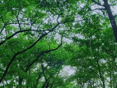 -西溪南古村落景区