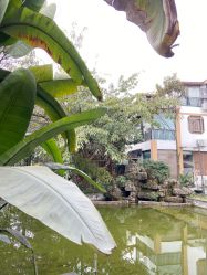 -莲生母婴月子中心(清水河公园店)