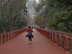 -青枫公园