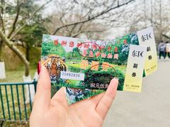 -青岛动物园