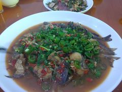 -全乐鱼馆·淳牌有机鱼直营店